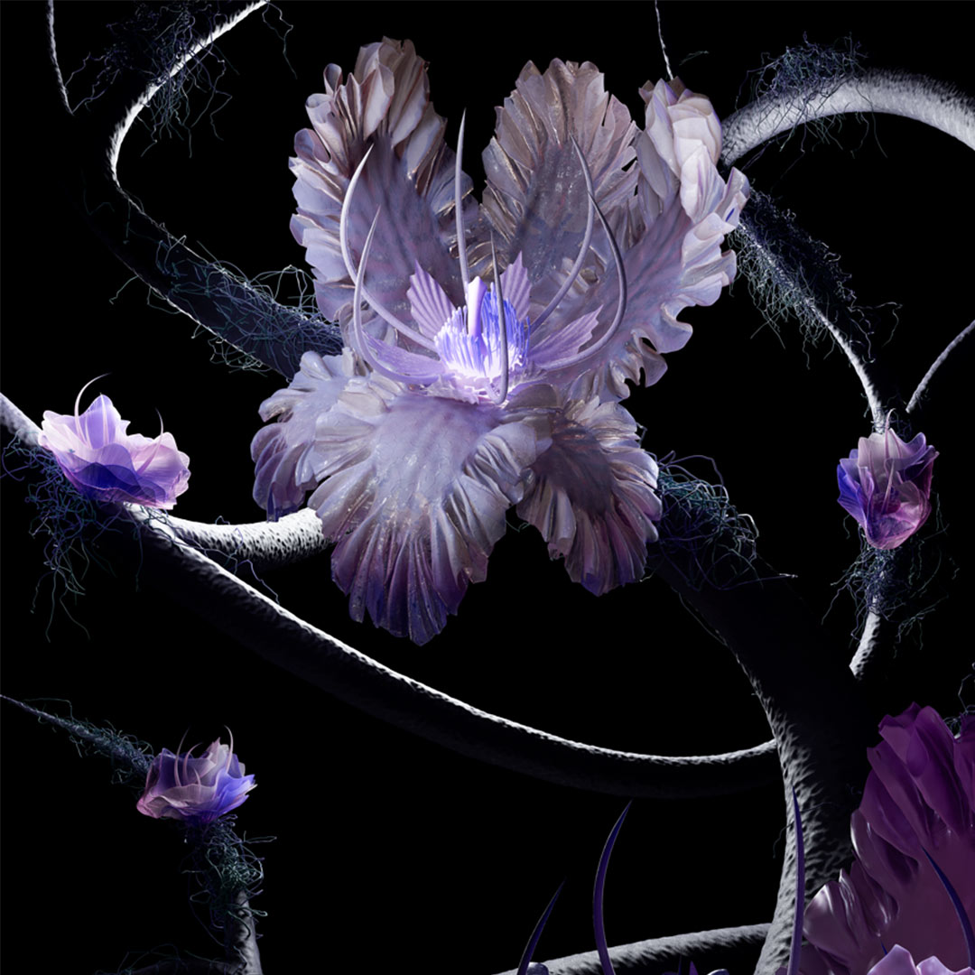 Floral Fantasies Vorschau