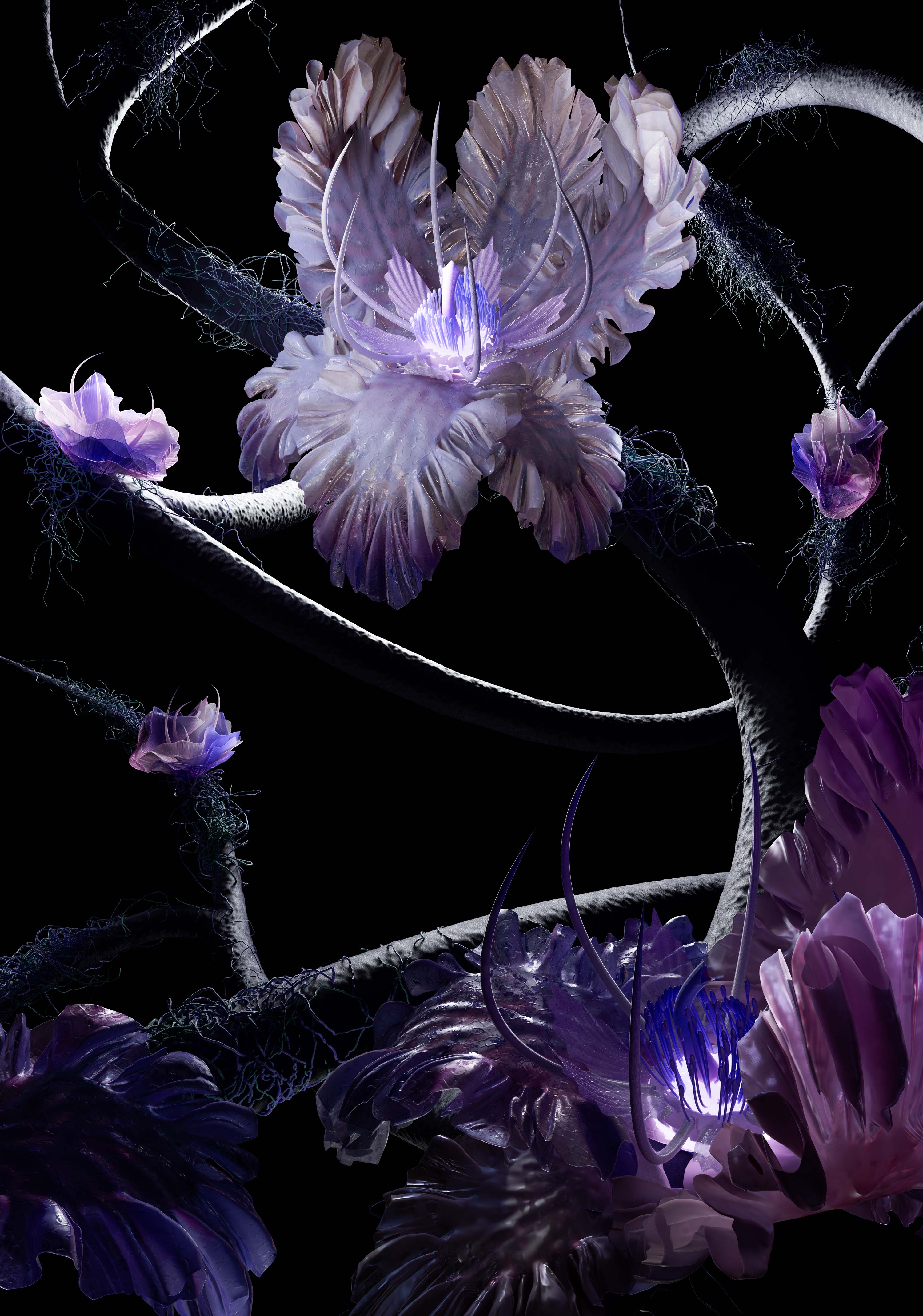 Floral Poster
