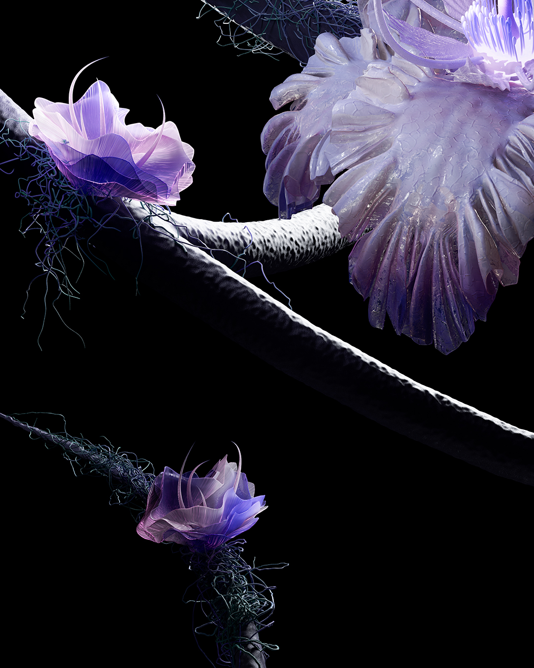 Floral Closeup 1