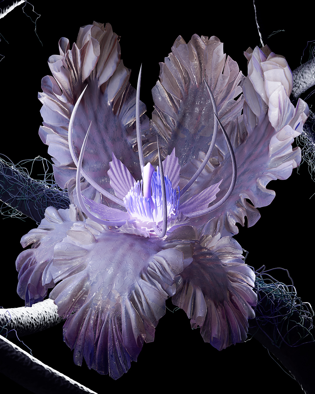 Floral Closeup 2