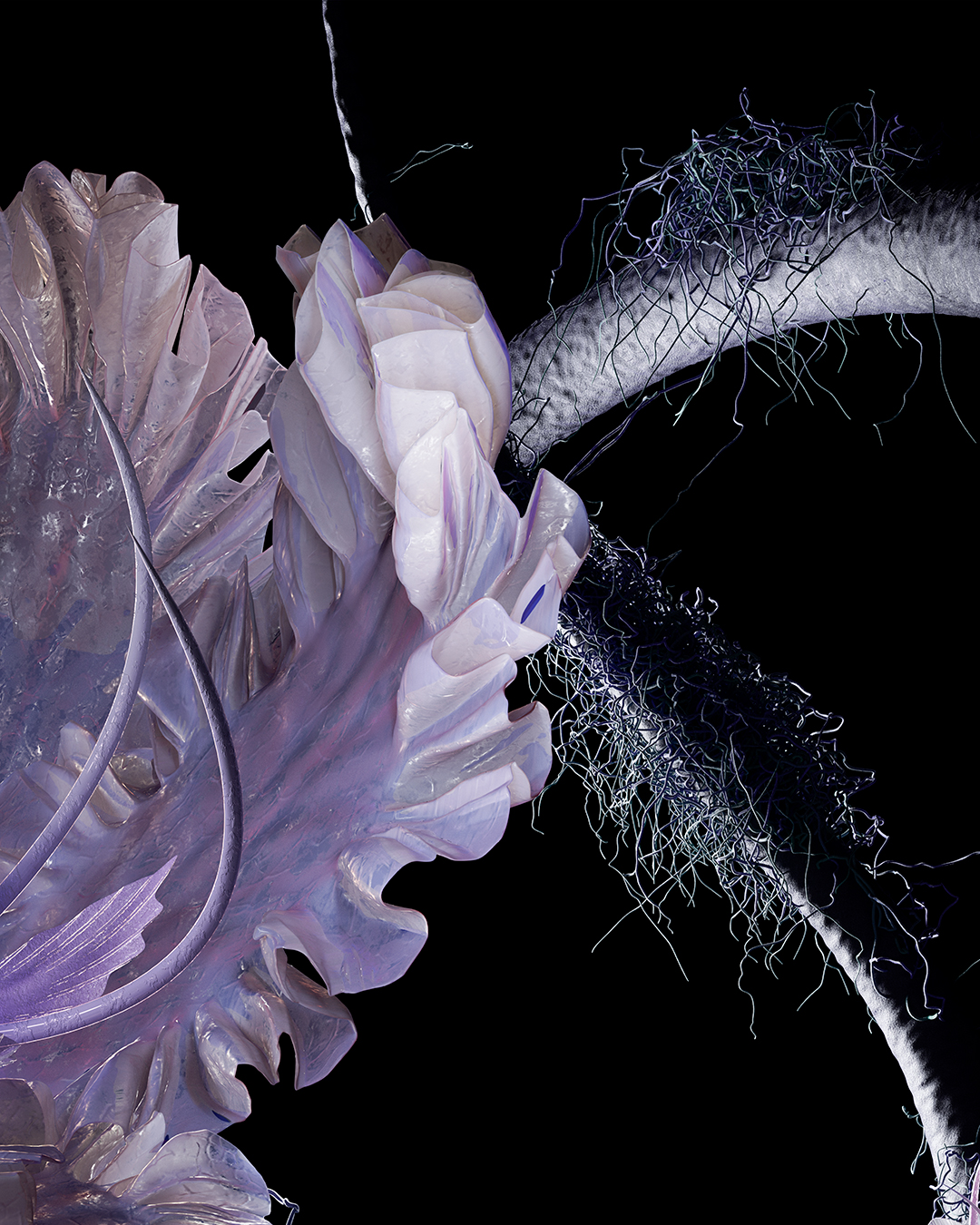 Floral Closeup 3