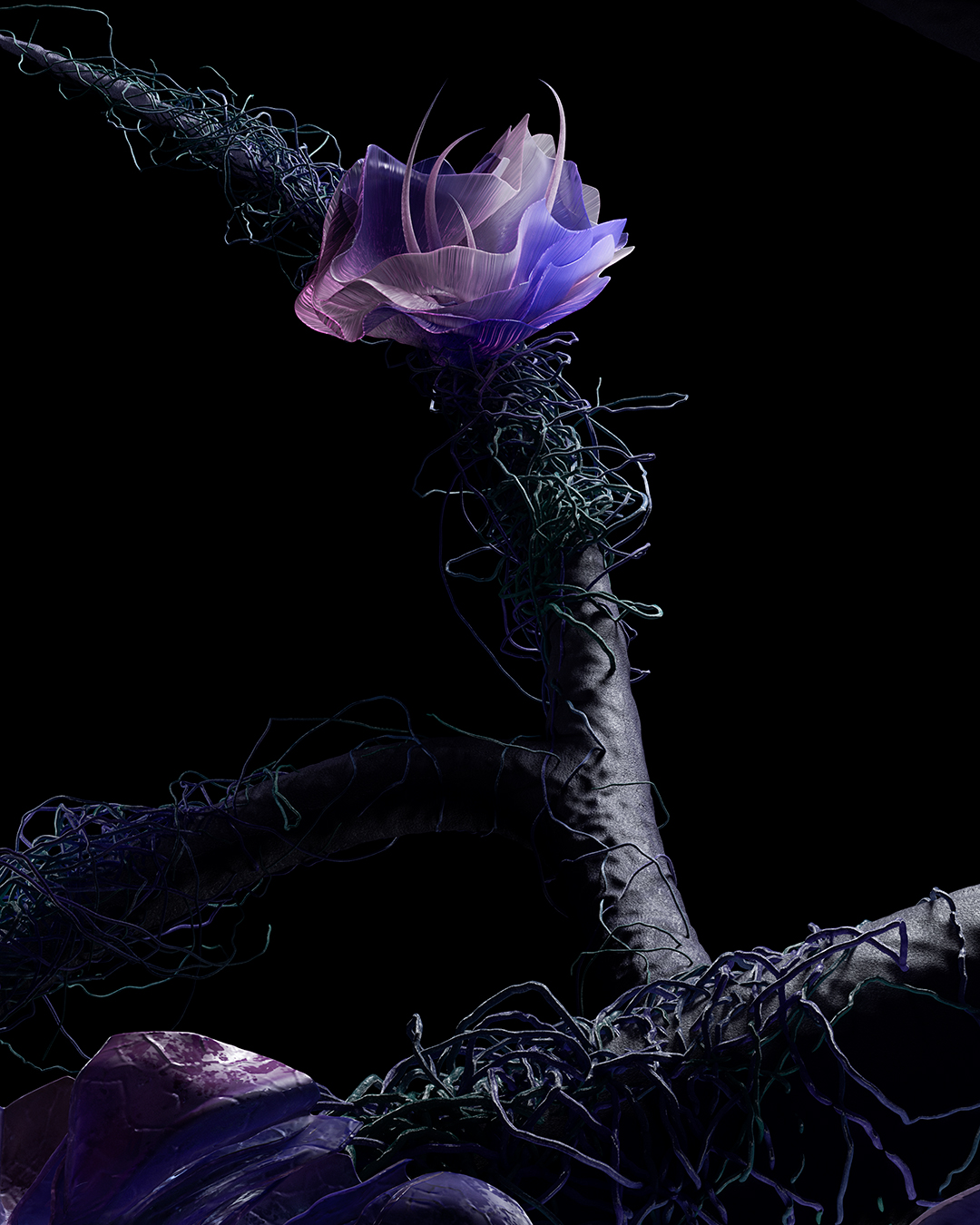 Floral Closeup 4